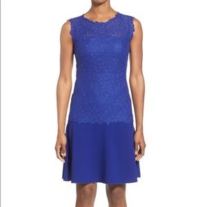 Elie Tahari Adira DropWaist Lace A-Line Dress SZ 4